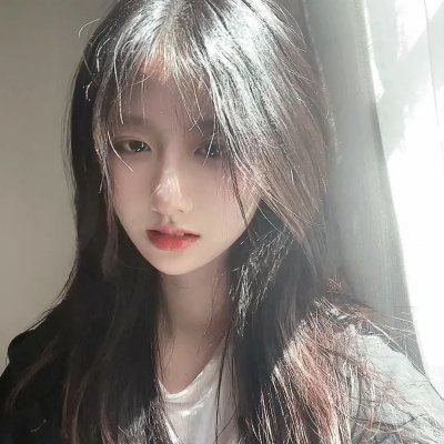 秩序的守护者