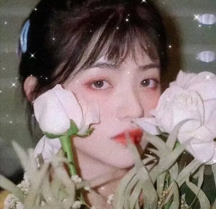 导购女郎